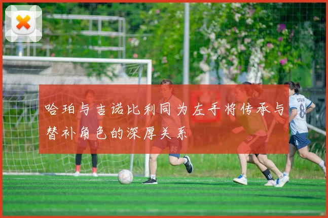 哈珀与吉诺比利同为左手将传承与替补角色的深厚关系